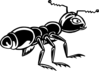 Black Shiny Ant Clip Art